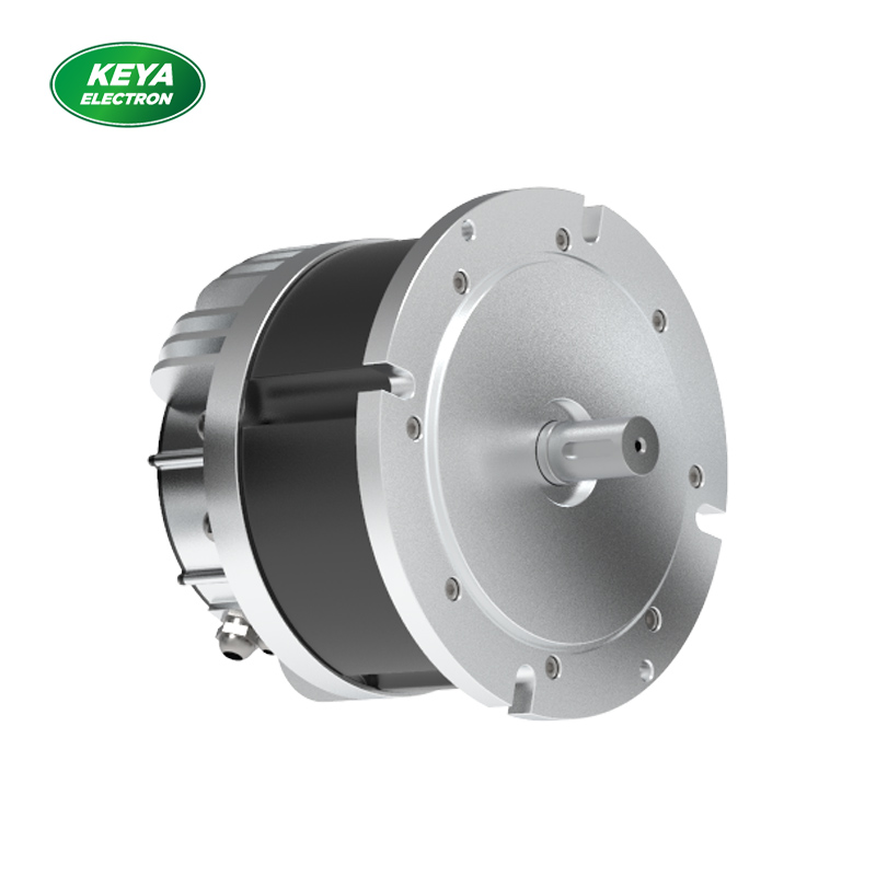 河北万象城网页版215系列48V 4000W 1500RPM